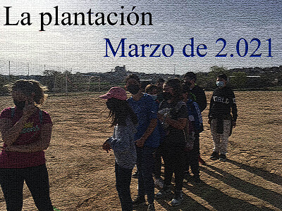 Plantación 02