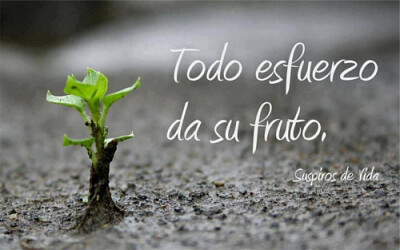 frases