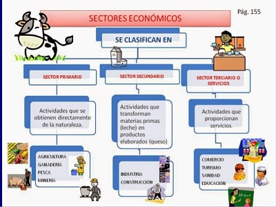 ACTIVIDADES