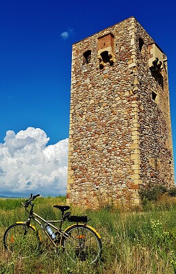 Torre del Mas d 'en Bisbe (Tarragona)