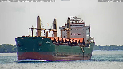 "saltie " m/v Andean heading into Lake Huron jigsaw puzzle
