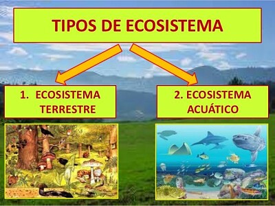 CLASES DE ECOSISTEMAS