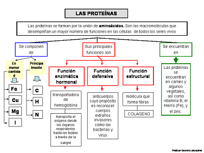 פאזל של Proteínas