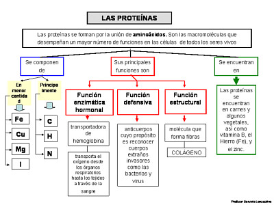 Proteínas