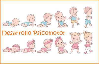 Desarrollo psicomotor