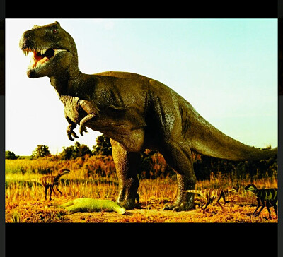 פאזל של Tiranossauro Rex