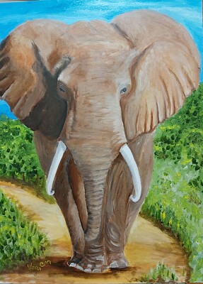 Elephant