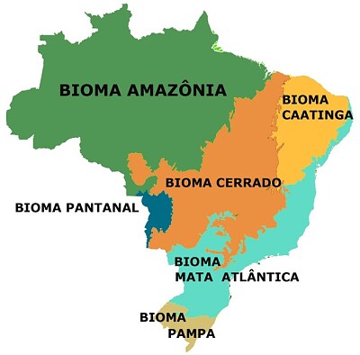 MONTE E DESCUBRA QUANTOS SÃO OS PRINCIPAIS BIOMAS BRASILEIROS.