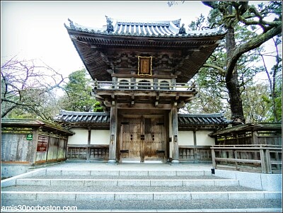 JARDIN DEL TE JAPONES