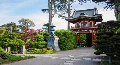 JARDIN DEL TE JAPONES 2