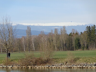 La Sauge vue Chasseral