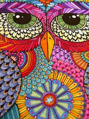 owl