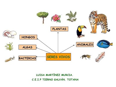 Arma el rompecabezas