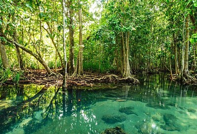 MANGLAR jigsaw puzzle