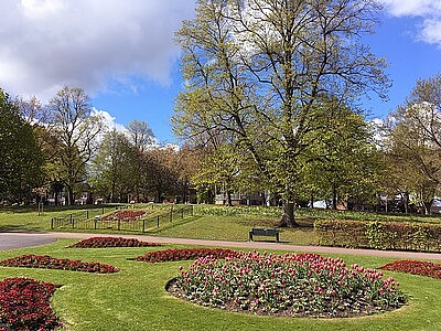 פאזל של Spring In The Park