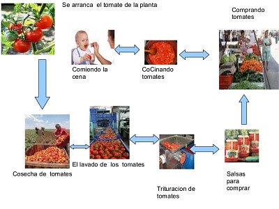 פאזל של circuito productivo del tomate