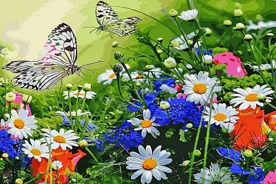 mariposas y flores 1
