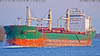  "saltie " Labradore, northbound into Lake Huron