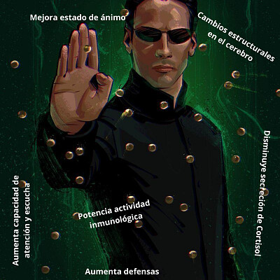 פאזל של Salvemos la Matrix