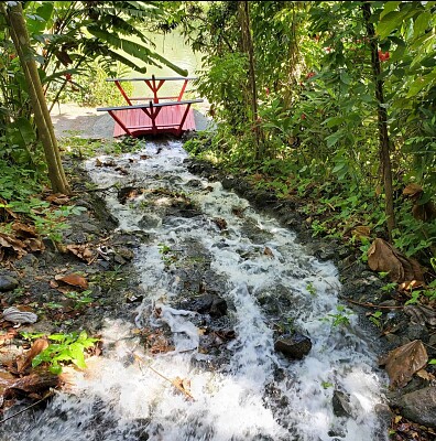 Cascada, Jardín Botánico, Universidad de Puerto Ri jigsaw puzzle