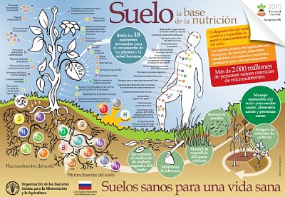 פאזל של El suelo y su conservación