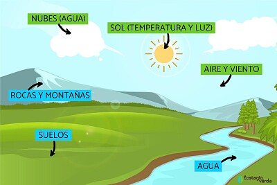 Factores abióticos