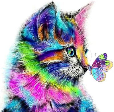 Colorful Kitty