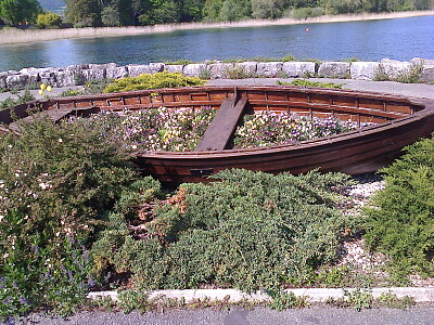 Cortaillod barque en bois