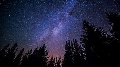 Night Sky Forest jigsaw puzzle