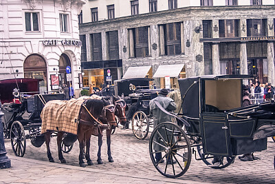 Viena Austria Carruajes jigsaw puzzle