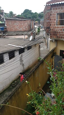 Meu bairro 1