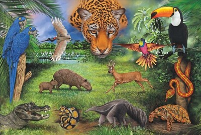 Animais jigsaw puzzle