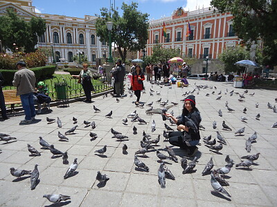 plaza de armas la paz b0livia