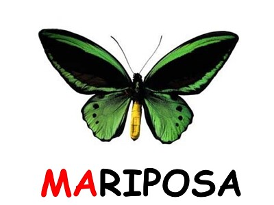 Mariposa