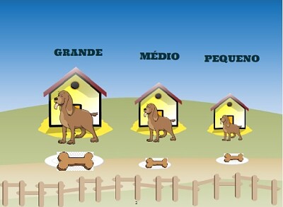 MONTE PARA DESCUBRIR A IMAGEM