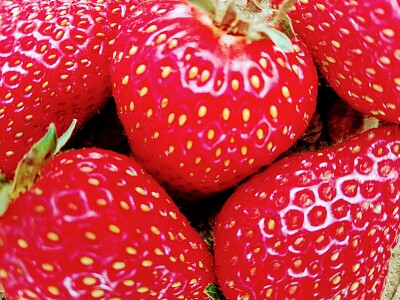 FRESAS jigsaw puzzle