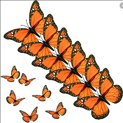 mariposas