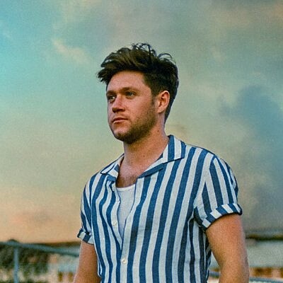 פאזל של Niall horan