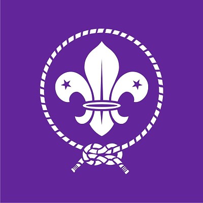 Flor de lis Scout