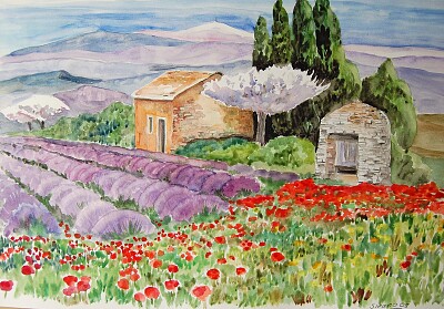 Aquarelle lavandes et coquelicots