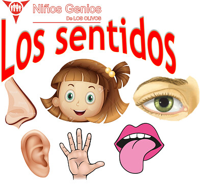 פאזל של Los cinco sentidos