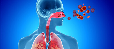 ENFERMEDADES POR CONTAMINACION