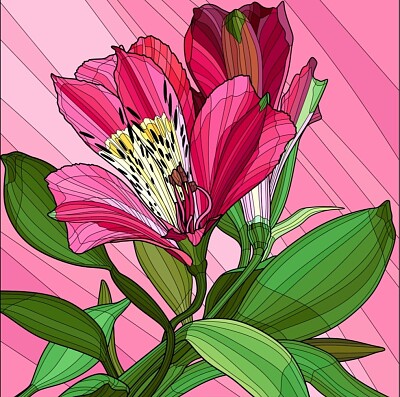 COLORIDO