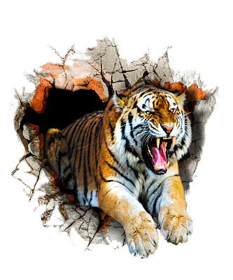 tigre jigsaw puzzle