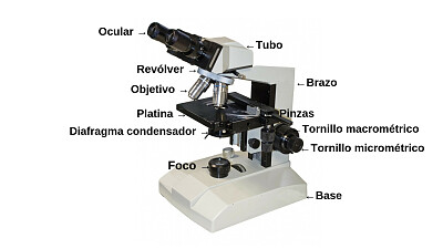 Jogo didático Quebra-cabeça do microscópio
