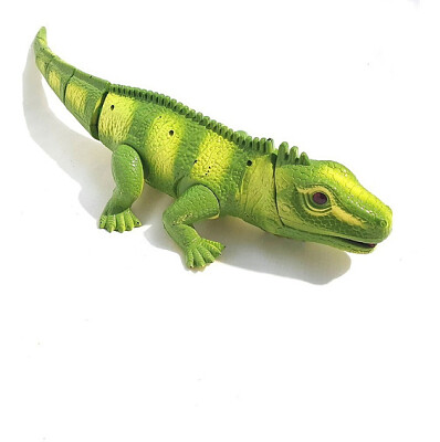 IGUANA jigsaw puzzle