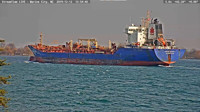 m/t Carlos Magnus , northbound on St Clair River jigsaw puzzle