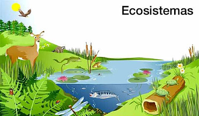 פאזל של Ecosistema