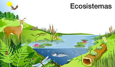 Ecosistema jigsaw puzzle