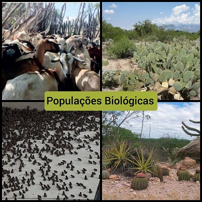 Populações Biológicas
